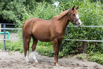 Bild 80 - Vivi